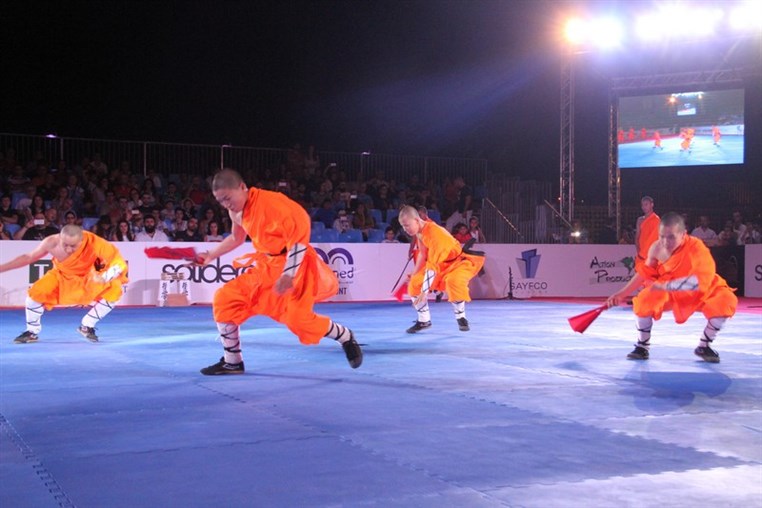Martial Arts Festival